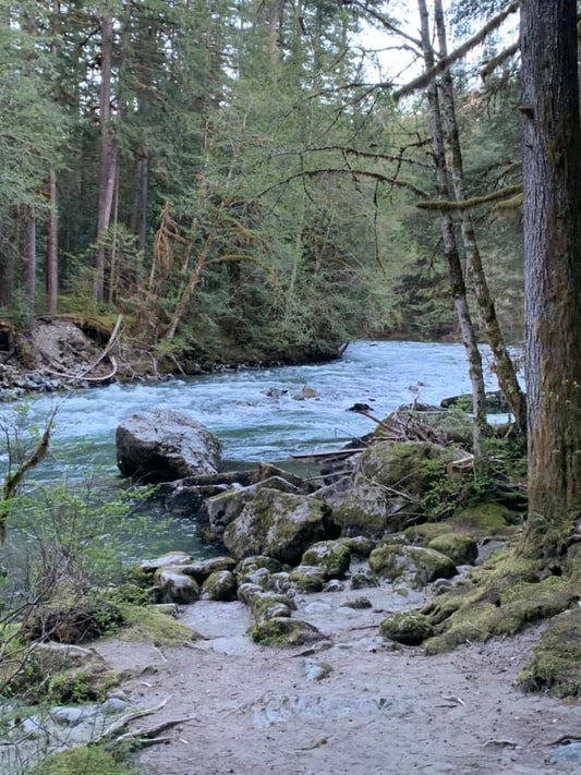 The Nooksack River flowing cold and clear through old-growth forest in the North Cascades — glacier-fed and mountain-pure.